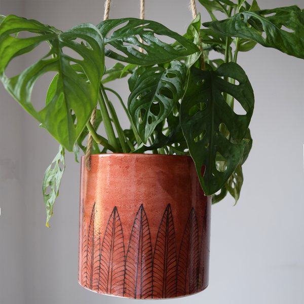 Pattee, Terracotta coloured Pot/Hanging Pot with plant