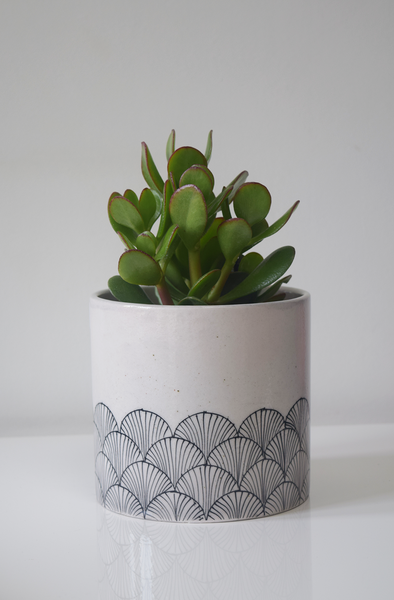 pankha, black and white fan patterned planter with plant
