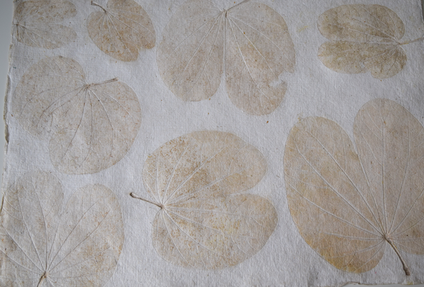 cream heartleaf imprint tablemat details