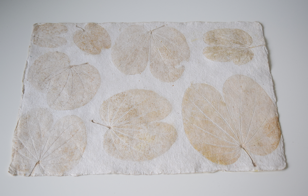 cream heartleaf imprint tablemat
