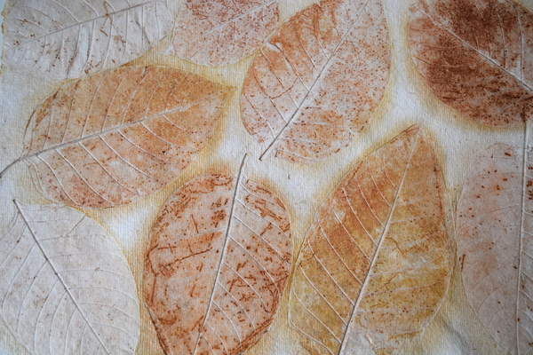 Cream Kadhambam tablemat details of leaf patterns