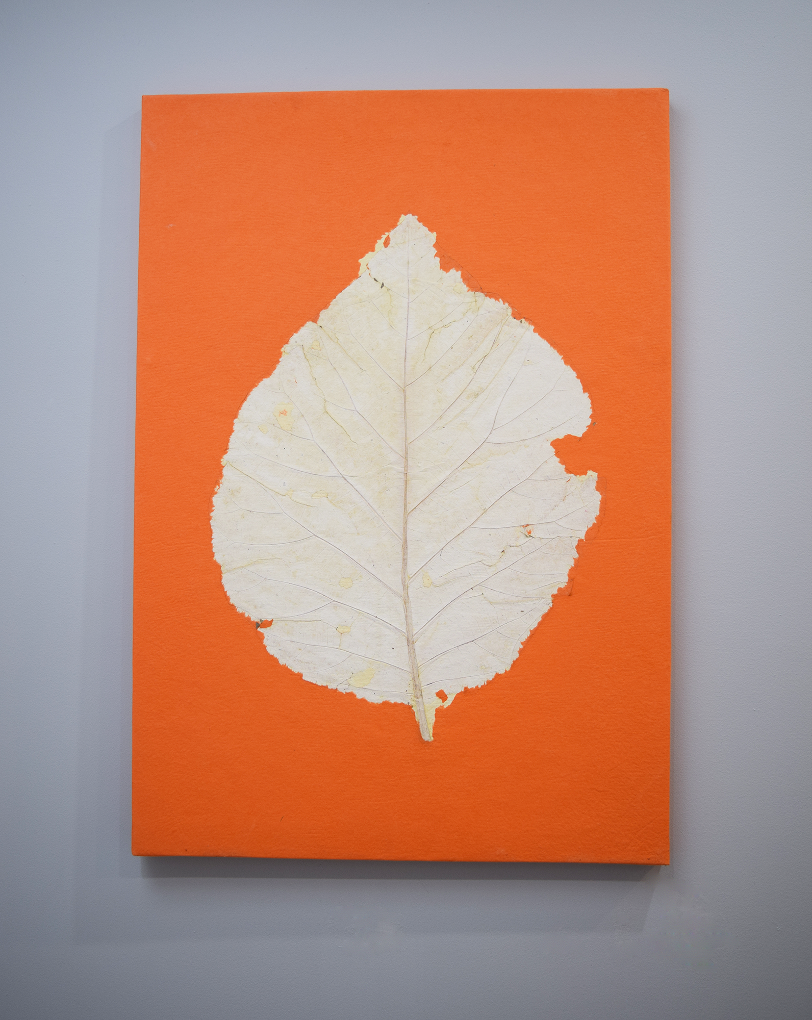 Orange wall poster with teak leaf imprint