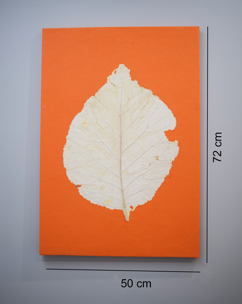 Orange wall poster with teak leaf imprint with measurements