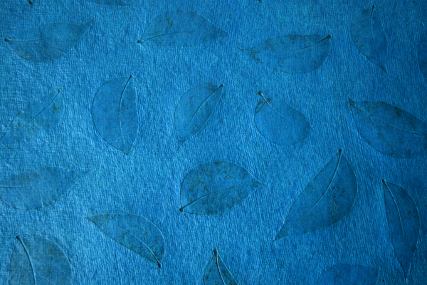 turquoise tablemat with benjamin leaf imprint-details