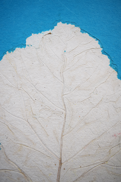 Turquoise wall poster details of teak leaf imprint
