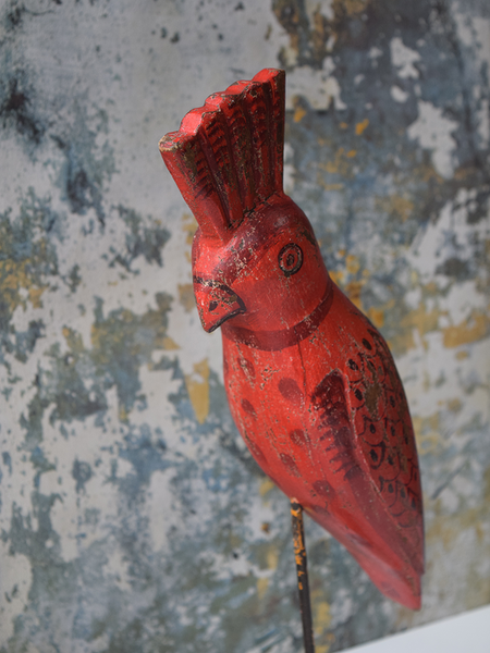 Red Reclaimed Wood Parrot