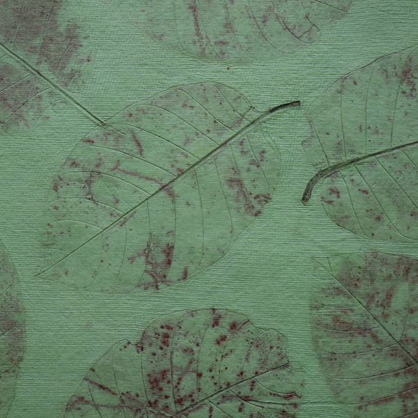 Green Kadhambam handmade paper tablemats details
