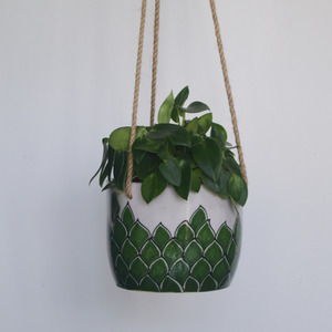 Phool, green and white floral patterned hanging planter- with plant