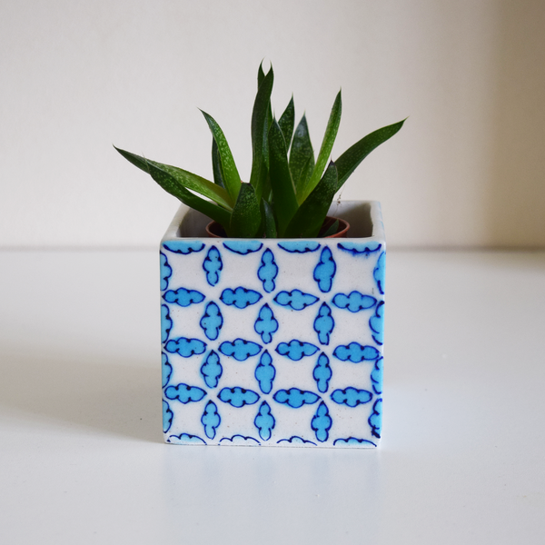 Light Blue and White Mini Succulent planter