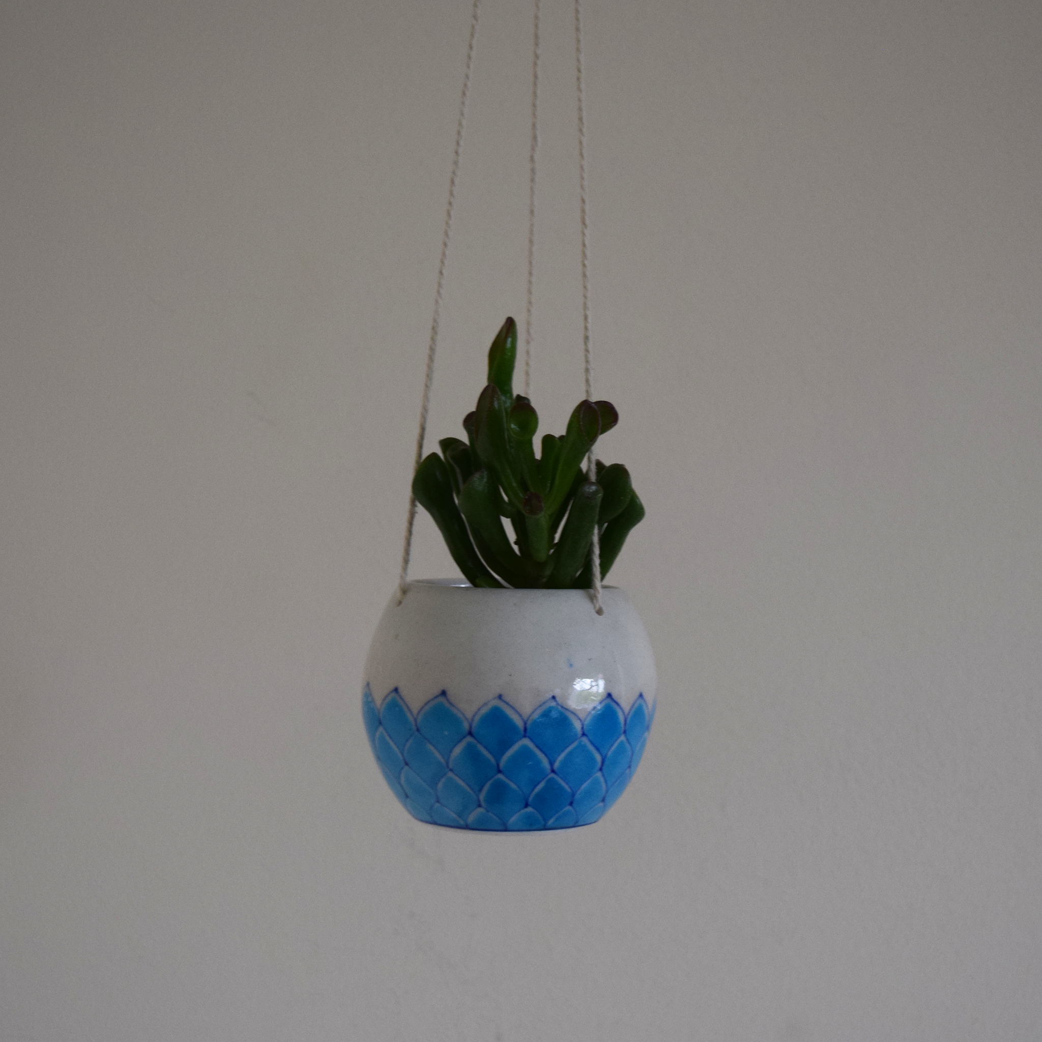 mini turquoise and white succulent planter