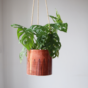 Pattee, Terracotta coloured Pot/Hanging Pot with plant