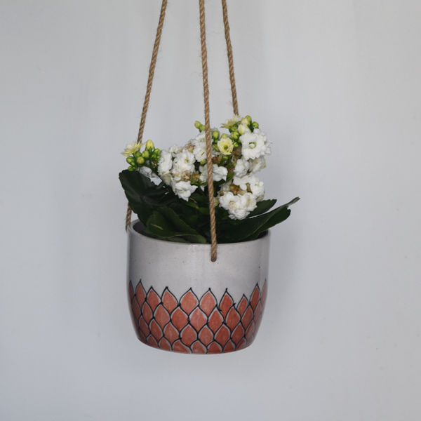 Phool, terracotta and white floral patterned hanging planter- with plant