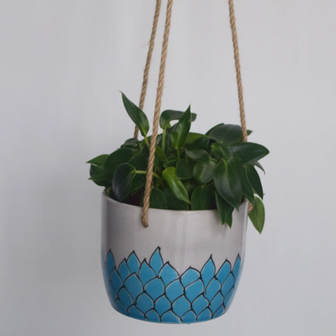 Phool, turquoise and white floral patterned hanging planter- with plant