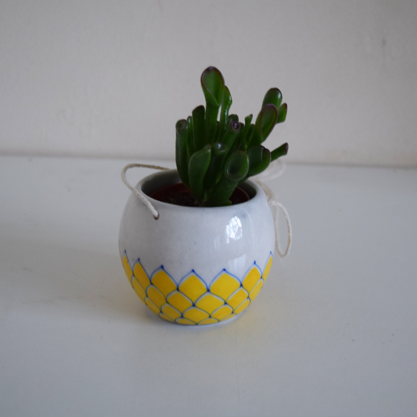 mini yellow and white succulent planter