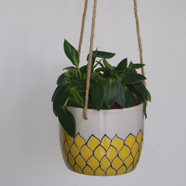 Phool, yellow and white floral patterned hanging planter- with plant